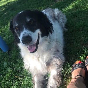 Meet your Posher, Naomi